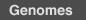 Genome button